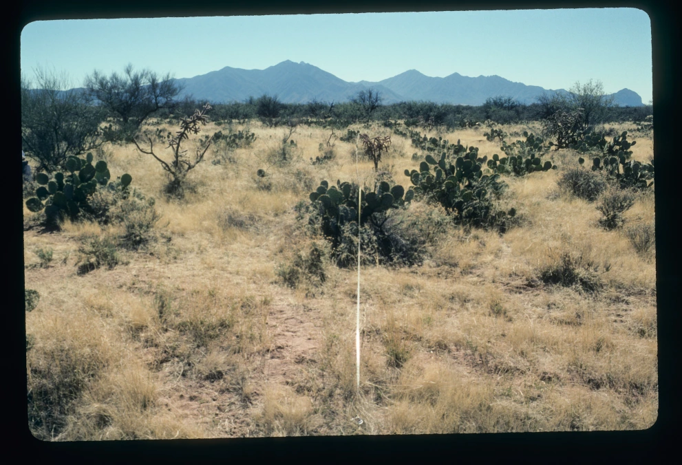 5N_1W_from_0_2003_Jan_31.jpg