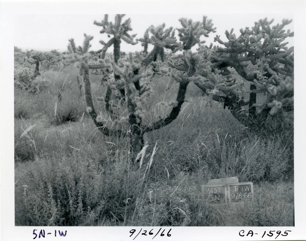 5N_1W_from_100_1966_Sep_26.jpg