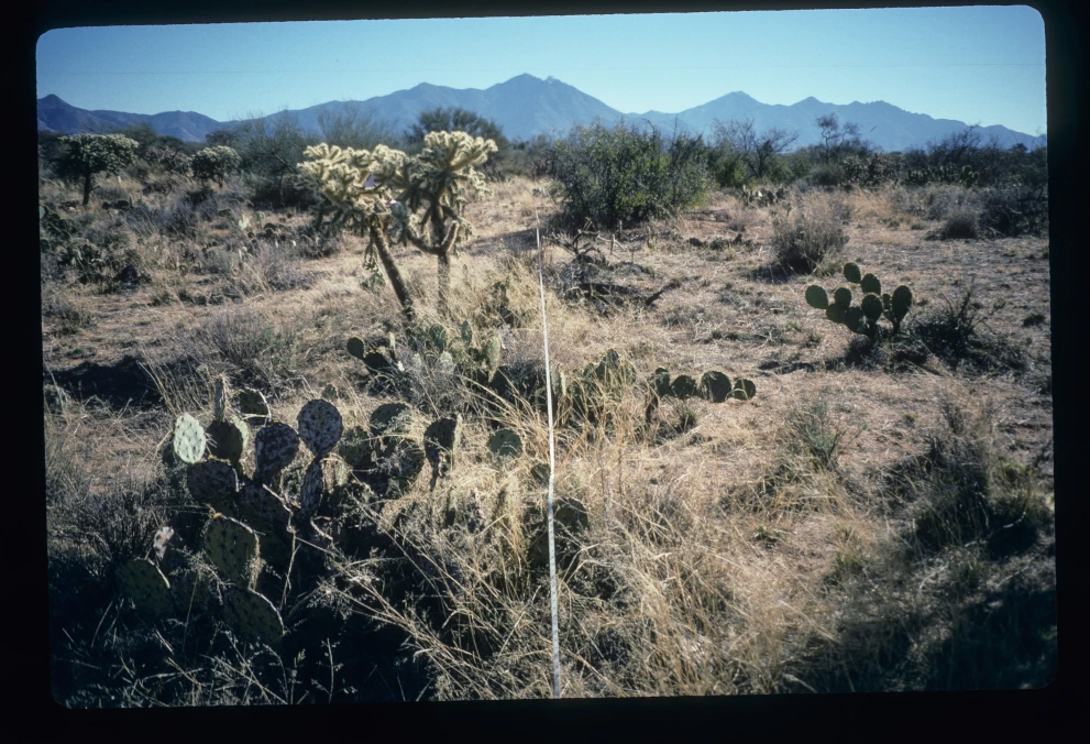5N_2E_from_0_1997_Feb_03.jpg