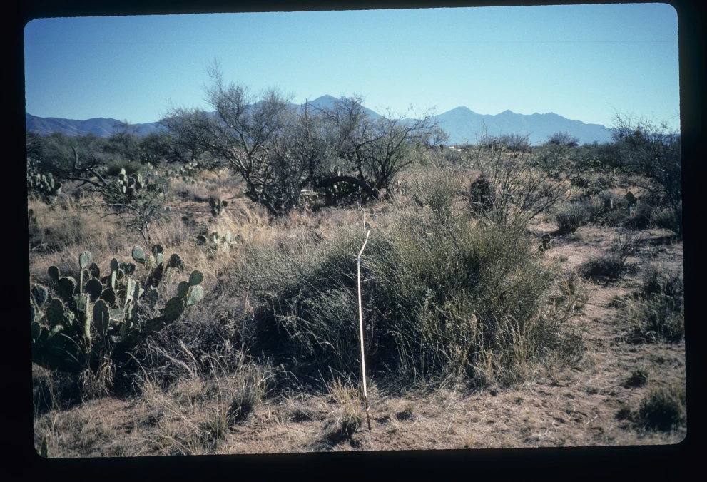 5N_2W_from_0_1997_Feb_03.jpg