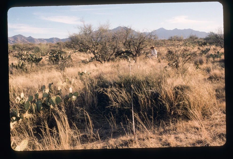 5N_2W_from_0_2000_Jan_28.jpg