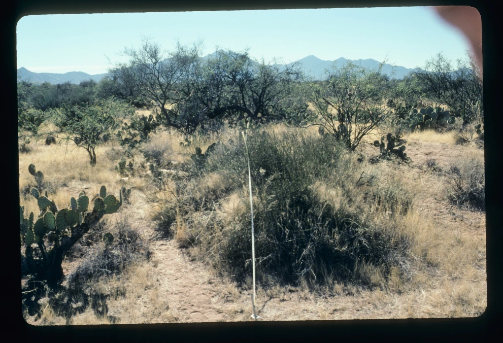 5N_2W_from_0_2003_Jan_31.jpg