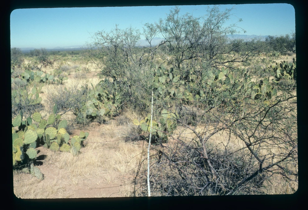 5N_2W_from_90_2003_Jan_31.jpg
