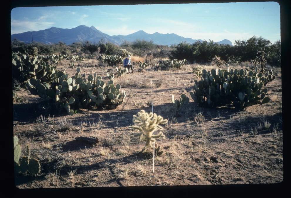 5N_8E_from_0_1997_Feb_07.jpg