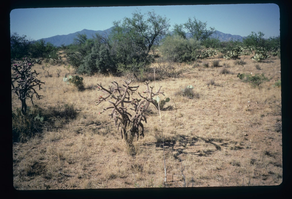 5S_2E_from_0_1997_May_12.jpg