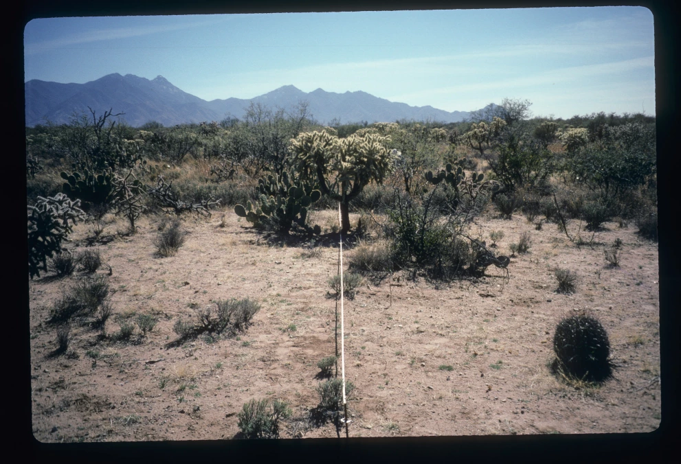 5S_5E_from_0_1997_Feb_21.jpg