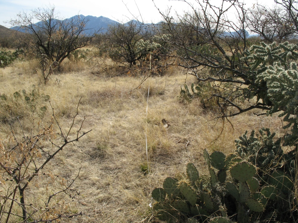 6A_11_from_0_2009_Feb_20.JPG