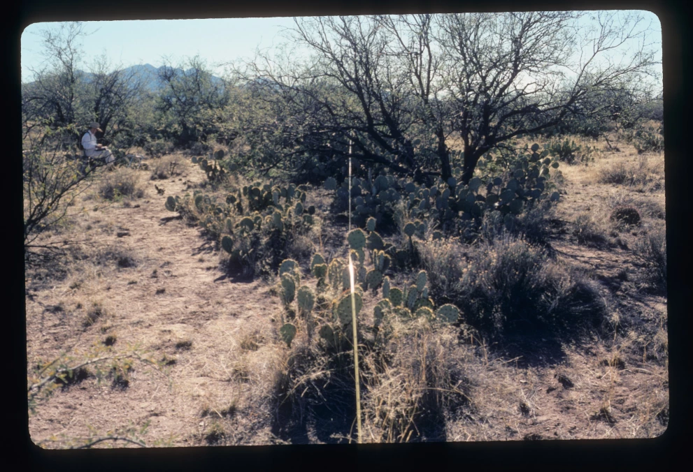 6A_12_from_0_2003_Jan_24.jpg