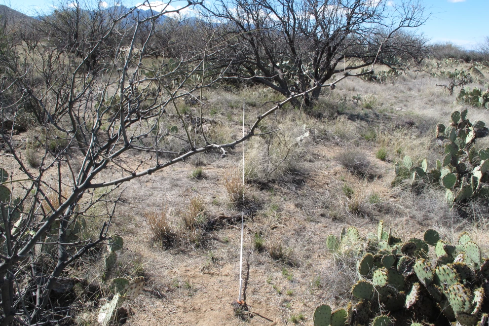 6A_12_from_0_2015_Feb_23.JPG