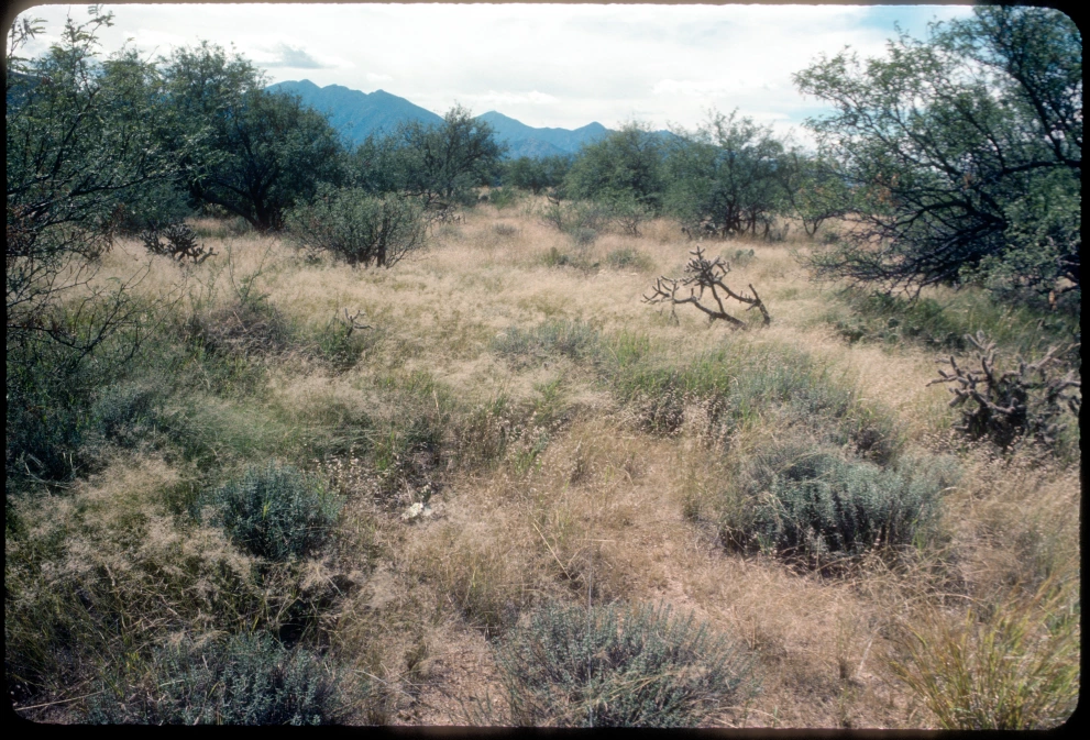 6A_13_from_0_1984_Oct_01.jpg
