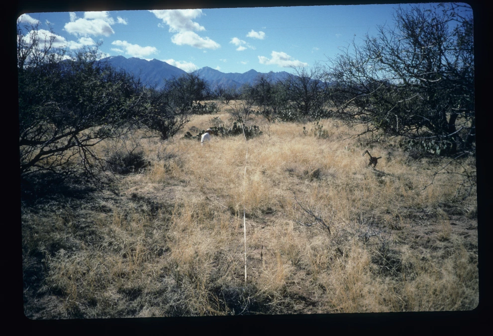 6A_13_from_0_1997_Jan_27.jpg