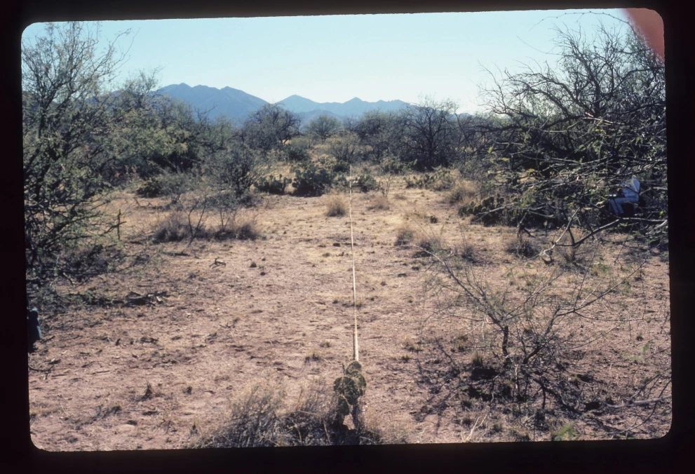 6A_13_from_0_2003_Jan_24.jpg