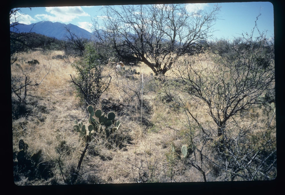6A_14_from_0_1997_Jan_27.jpg