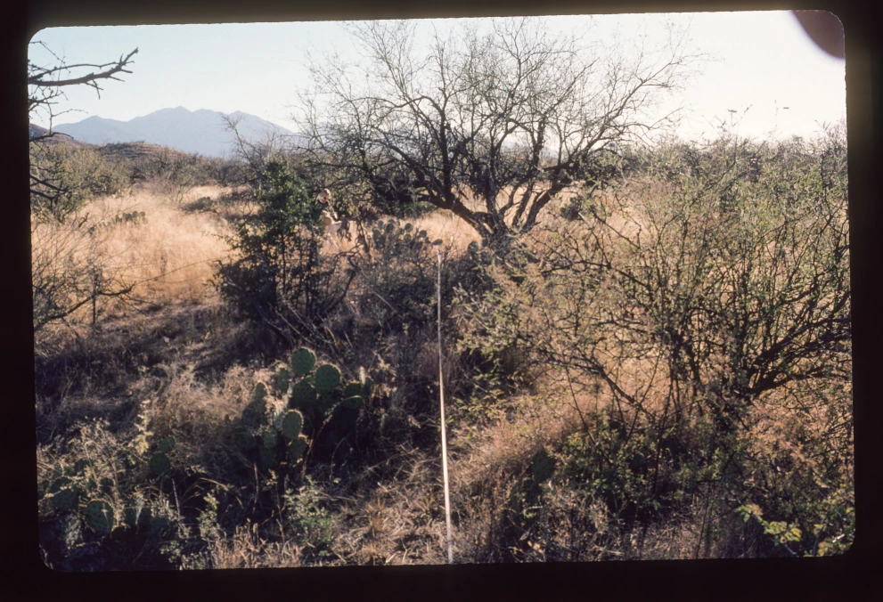 6A_14_from_0_2000_Jan_07.jpg