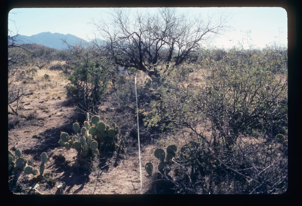 6A_14_from_0_2003_Jan_24.jpg