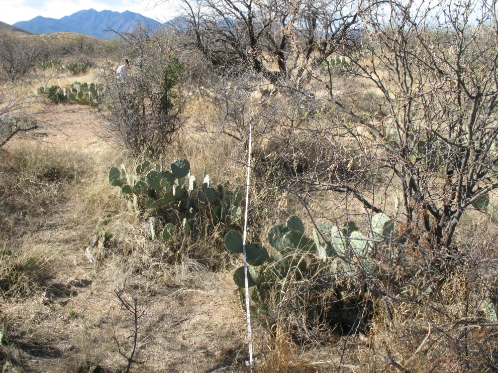 6A_14_from_0_2009_Feb_27.JPG
