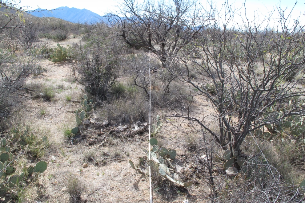 6A_14_from_0_2015_Feb_23.JPG