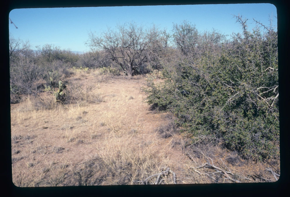 6A_14_from_100_2003_Jan_24.jpg