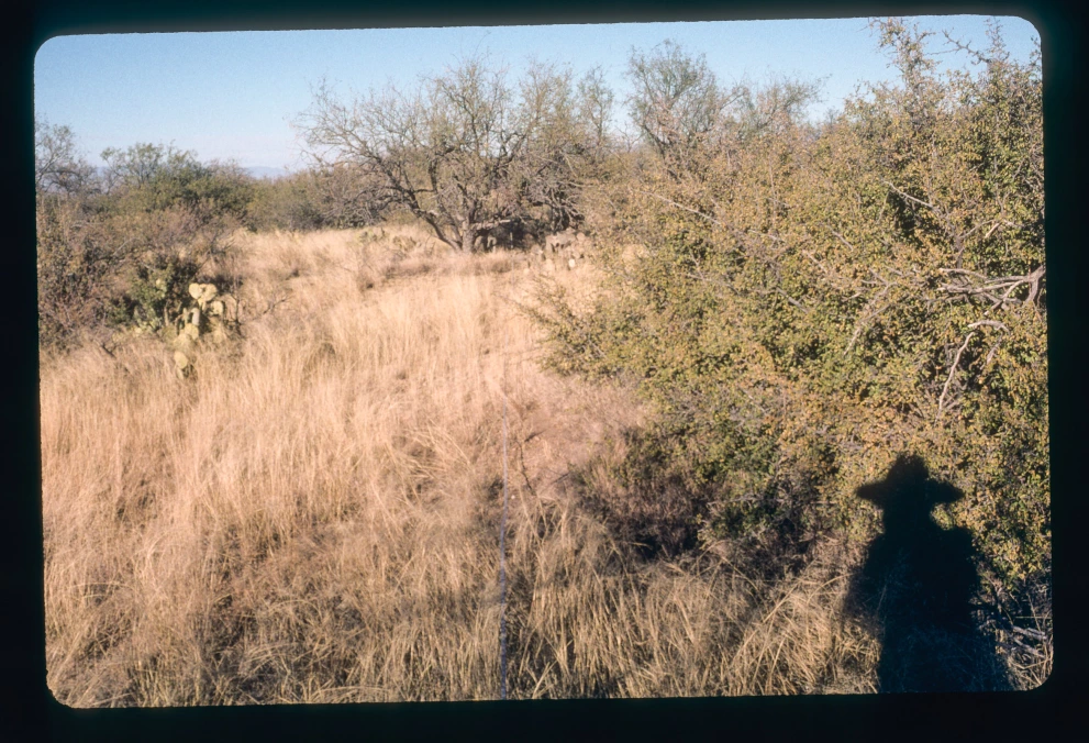 6A_14_from_75_2000_Jan_07.jpg