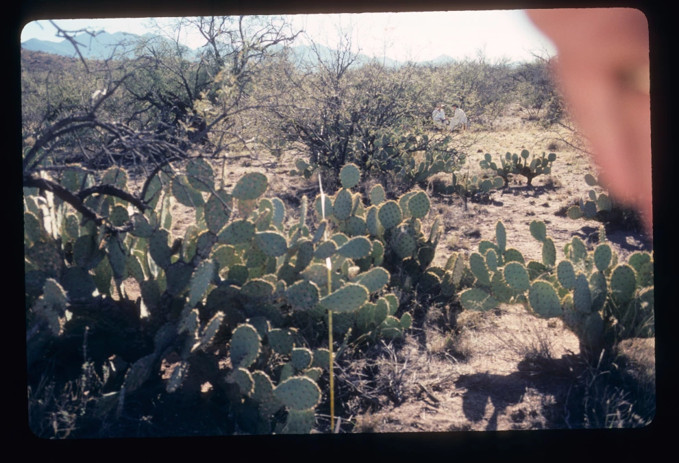 6A_15_from_0_2003_Jan_24.jpg