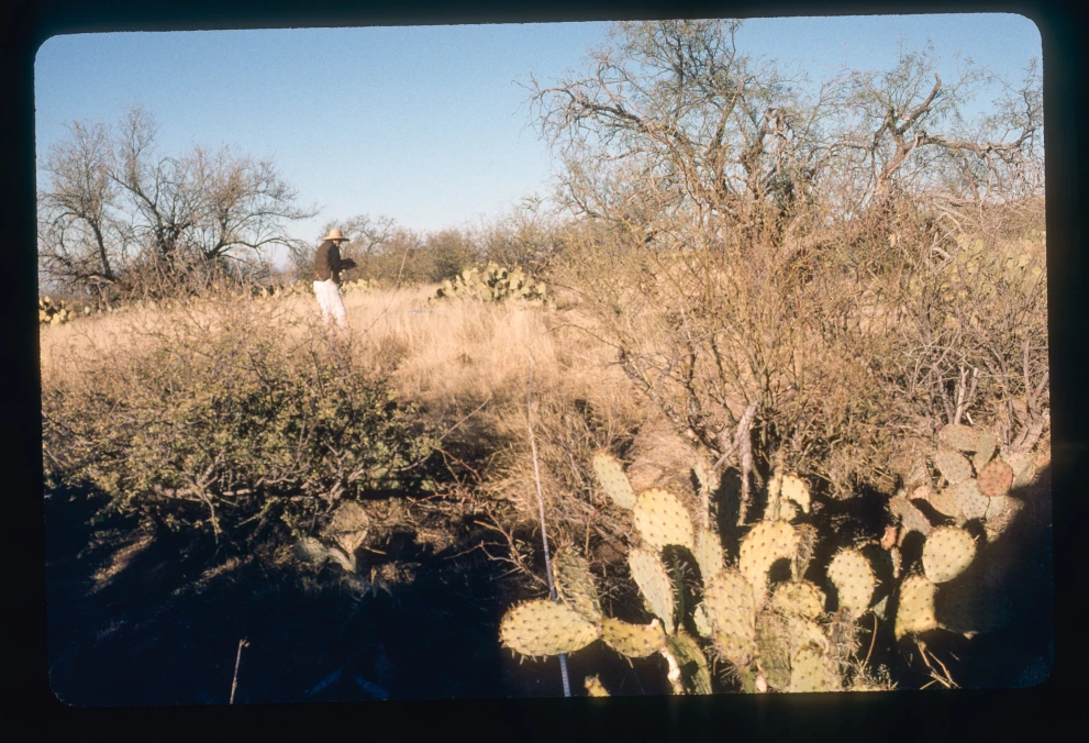 6A_15_from_100_2000_Jan_07.jpg