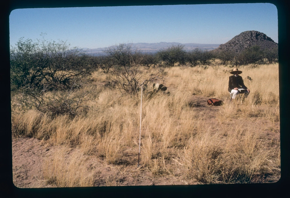 6A_16_from_0_2000_Jan_07.jpg