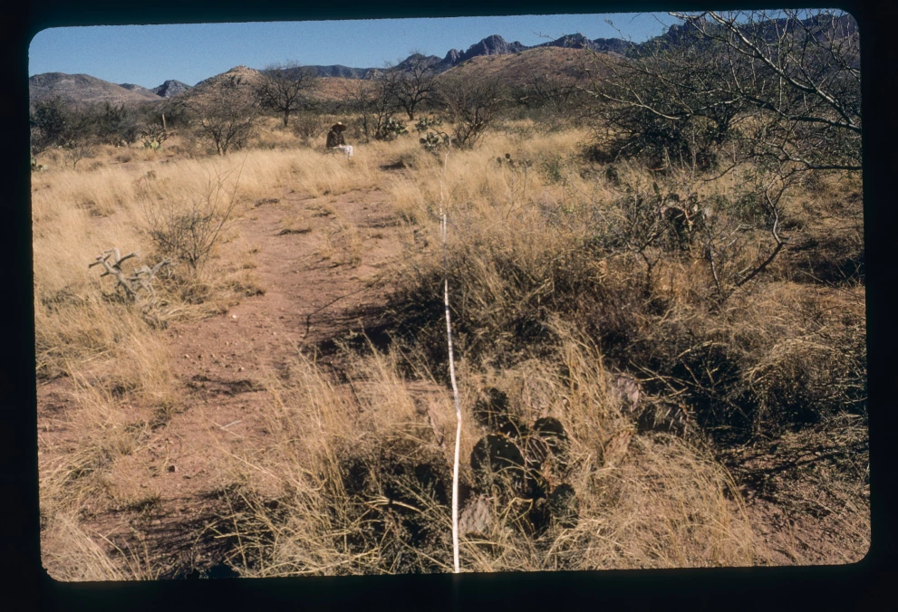 6A_16_from_100_2000_Jan_07.jpg