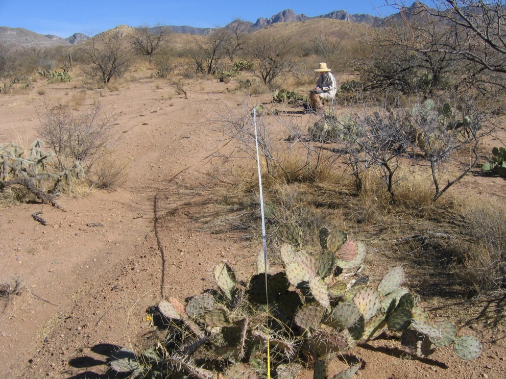 6A_16_from_100_2006_Feb_16.JPG