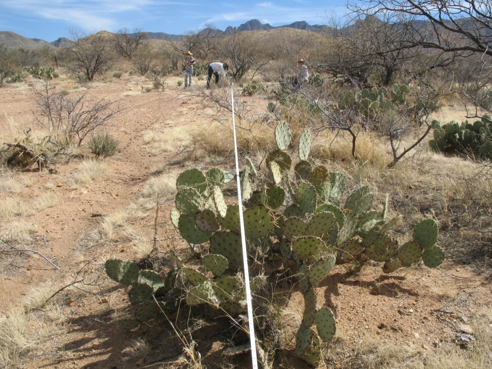 6A_16_from_100_2009_Feb_27.JPG