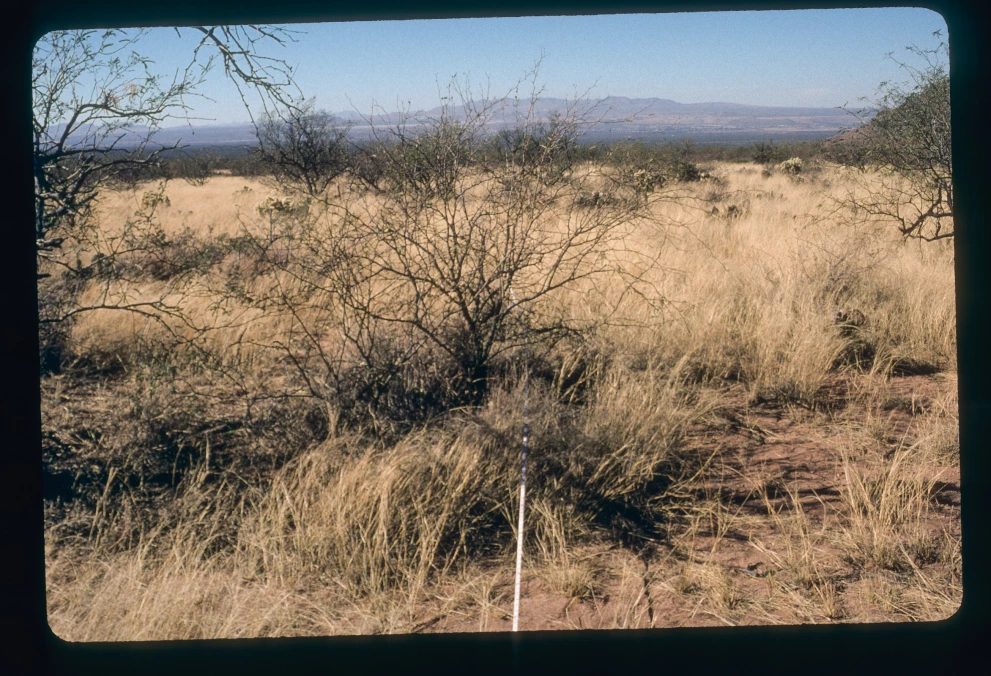 6A_17_from_0_2000_Jan_07.jpg