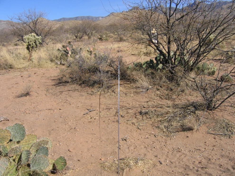 6A_17_from_100_2006_Feb_16.JPG