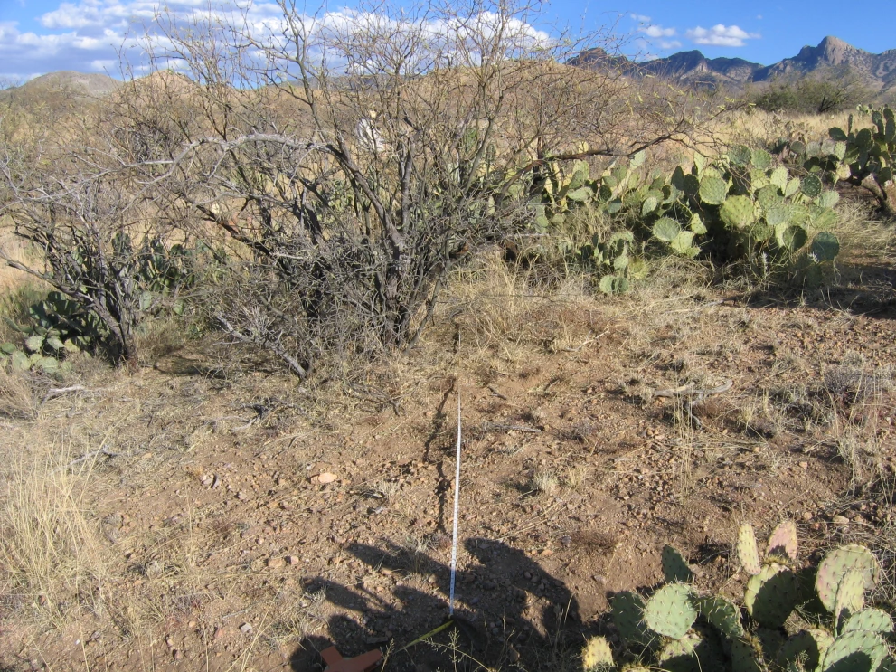 6A_18_from_100_2006_Jan_31.JPG