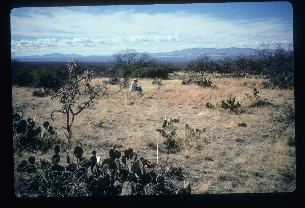 6A_19_from_0_1997_Jan_27.jpg
