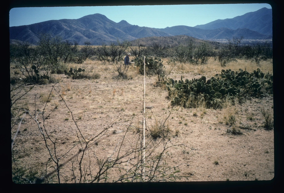 6A_1_from_0_1997_Feb_09.jpg