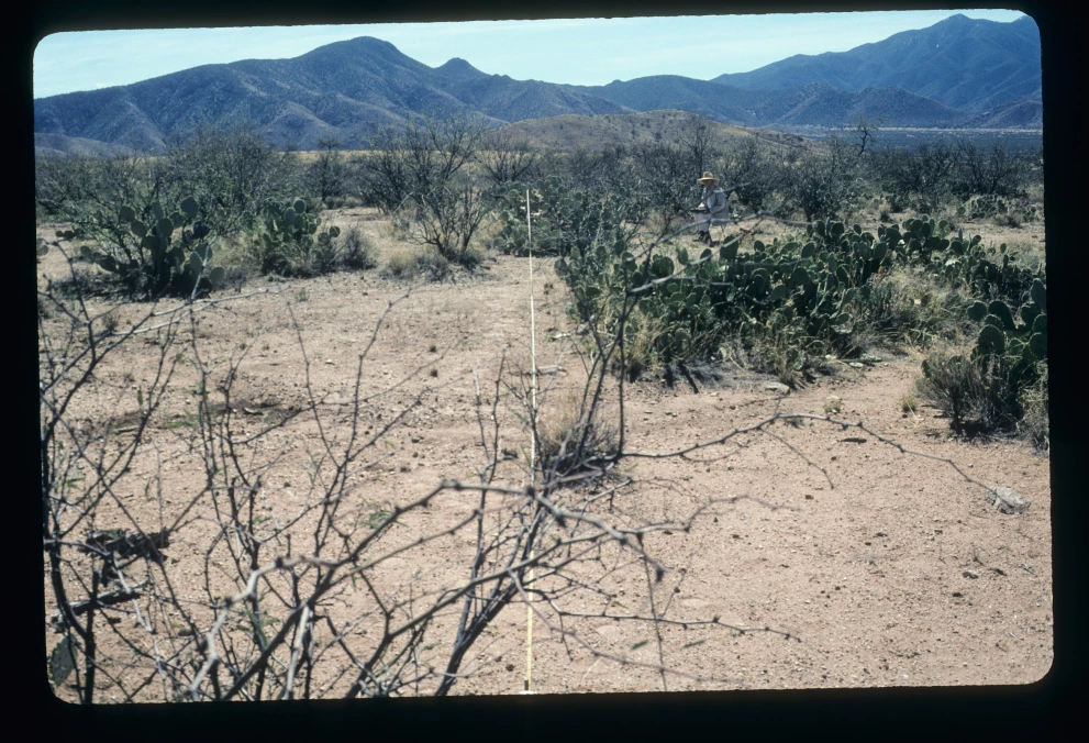 6A_1_from_0_2003_Mar_07.jpg