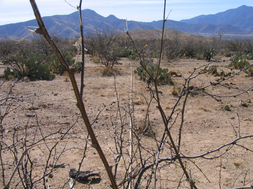 6A_1_from_0_2006_Feb_16.JPG