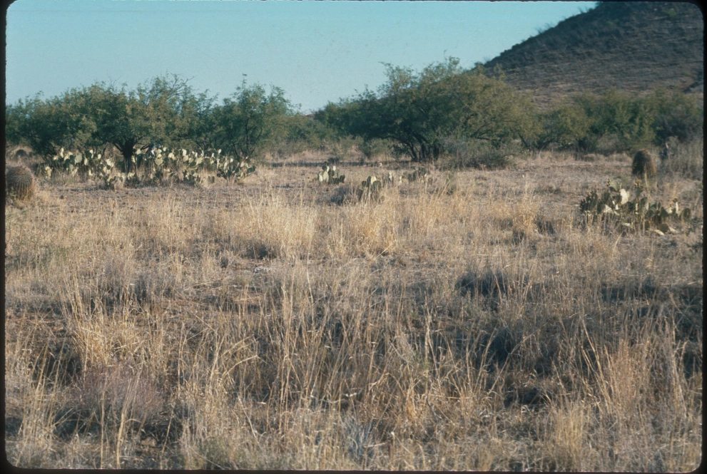6A_1_from_100_1975_Jun_10.jpg