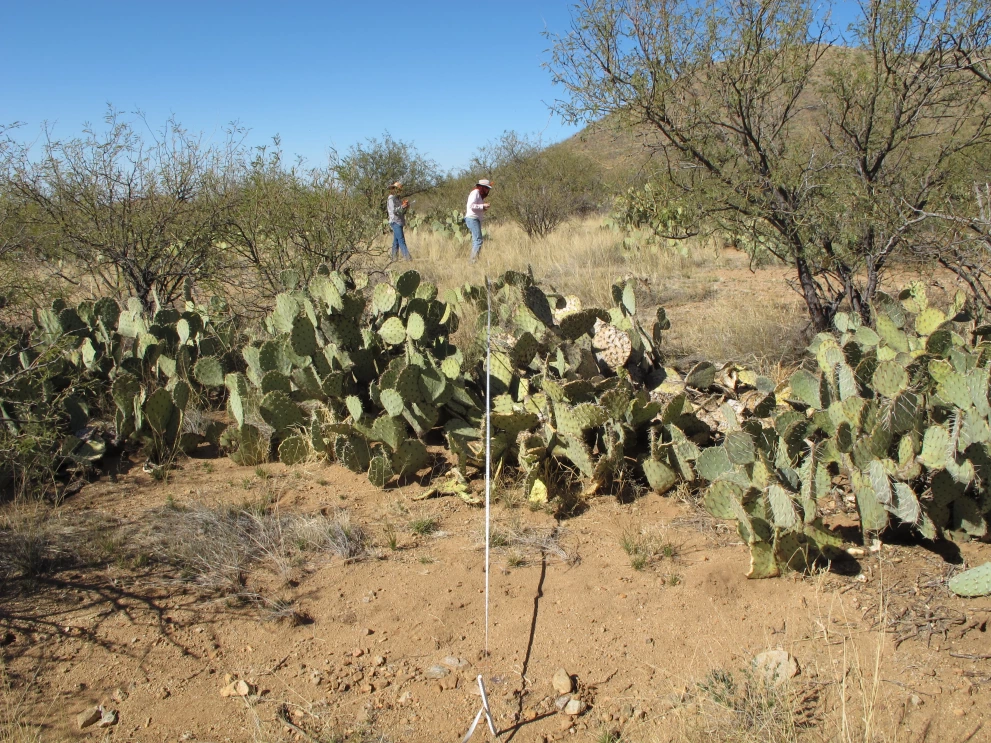 6A_1_from_100_2012_Feb_24.JPG