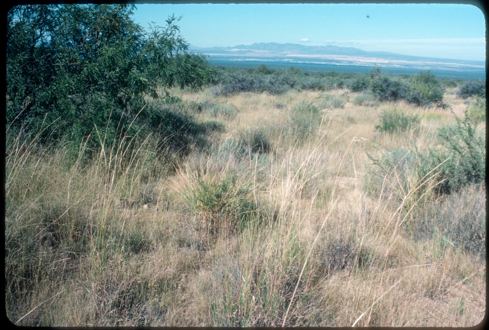 6A_20_from_0_1984_Oct_01.jpg