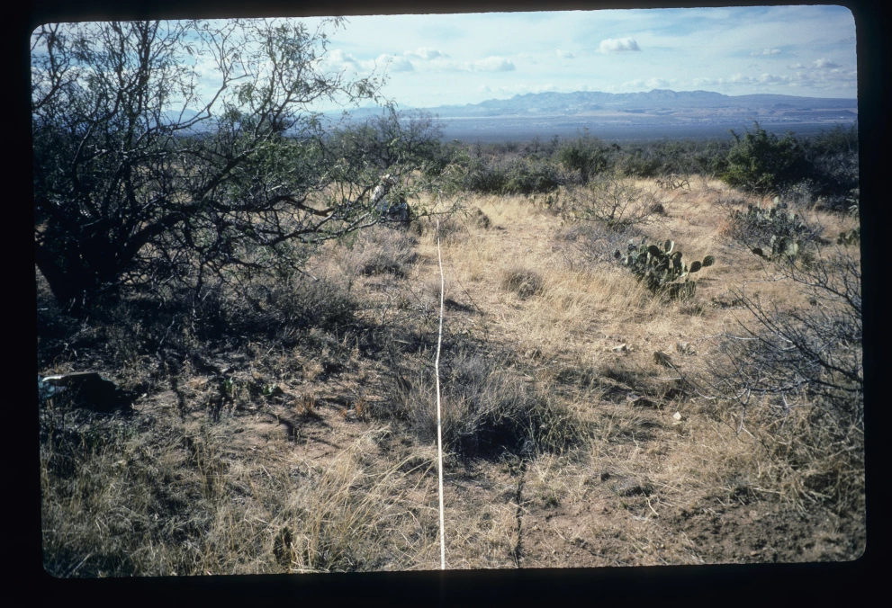 6A_20_from_0_1997_Jan_27.jpg