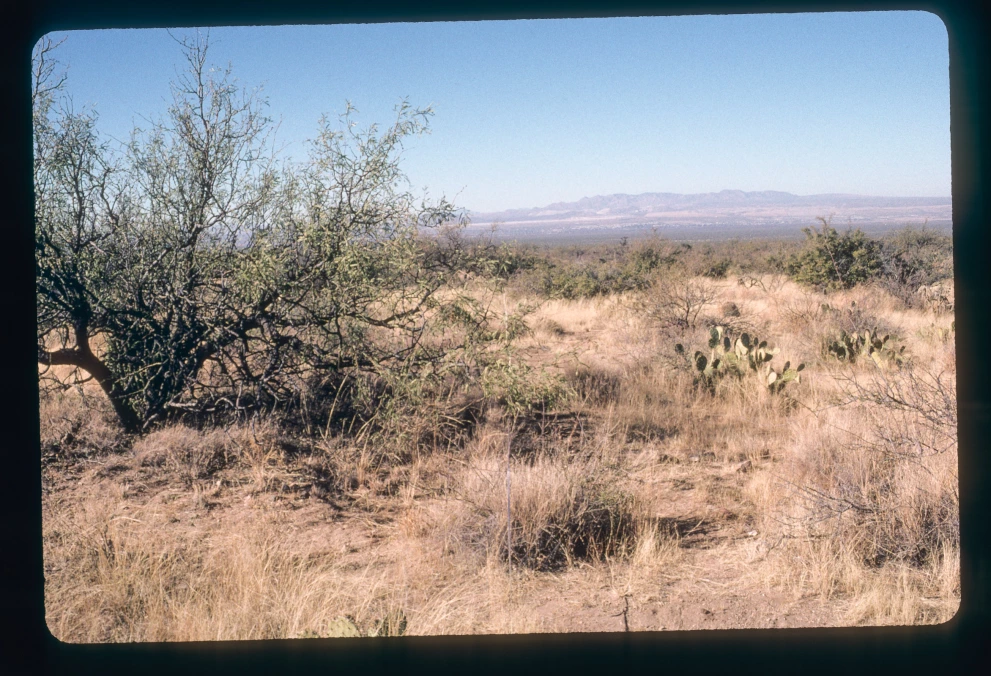 6A_20_from_0_2000_Jan_07.jpg