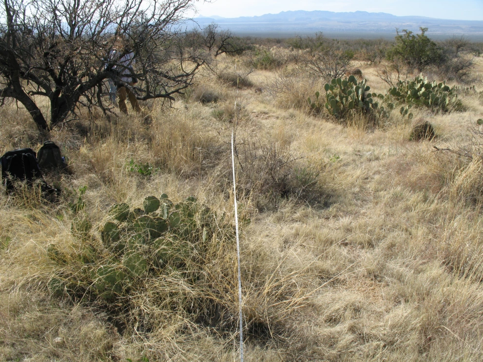 6A_20_from_0_2009_Feb_27.JPG
