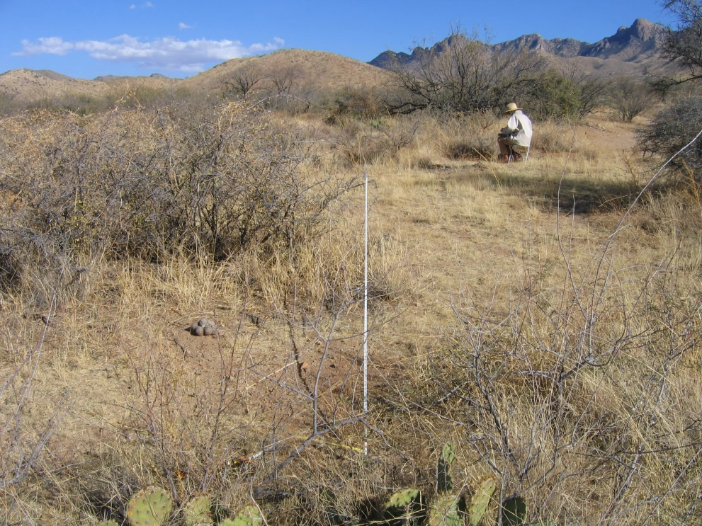 6A_20_from_100_2006_Jan_31.JPG