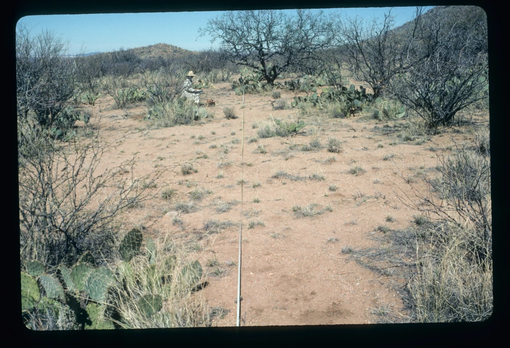 6A_2_from_0_2003_Mar_07.jpg
