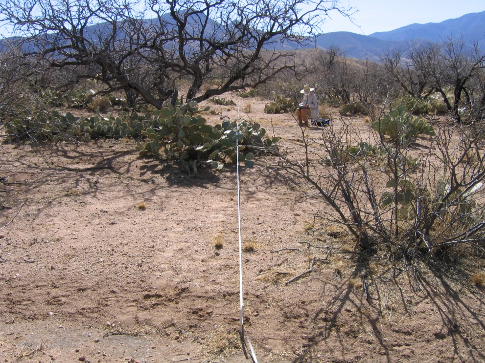 6A_2_from_100_2006_Feb_16.JPG