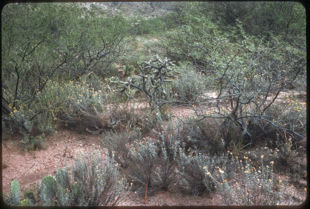 6A_37_from_0_1984_Oct_05.jpg