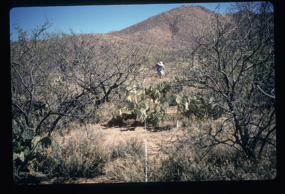 6A_37_from_0_1997_Feb_14.jpg
