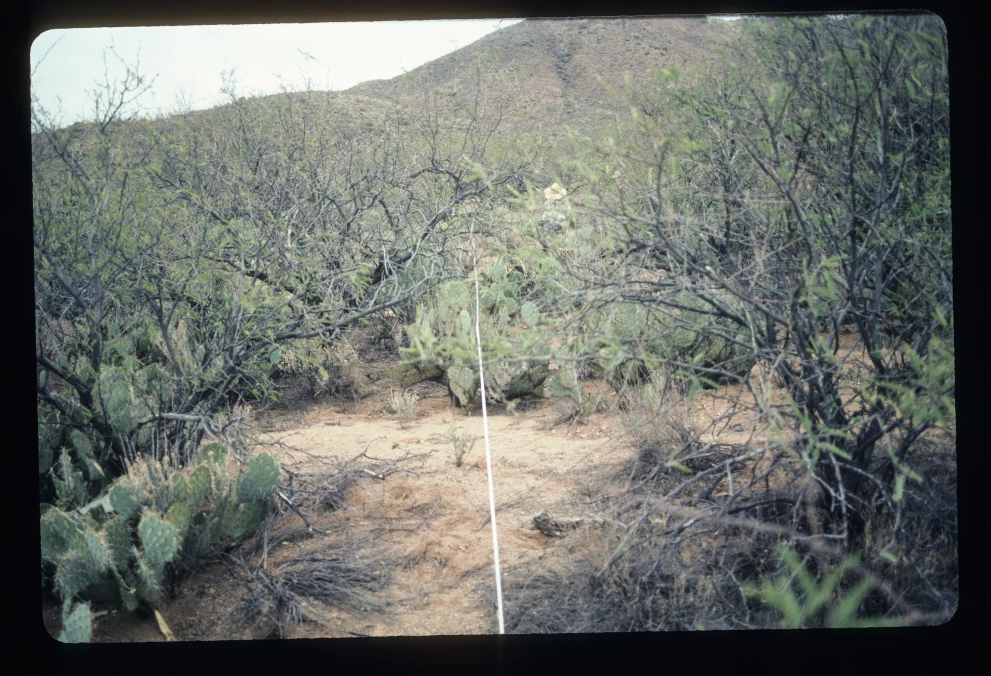 6A_37_from_0_2003_Mar_03.jpg