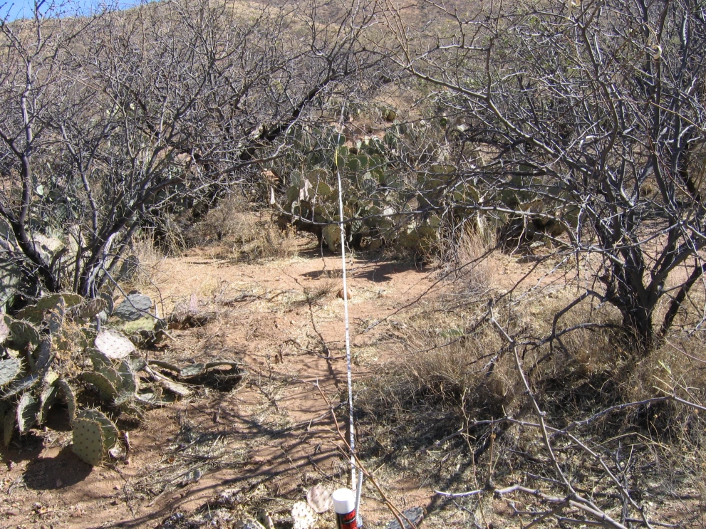 6A_37_from_0_2006_Jan_31.JPG