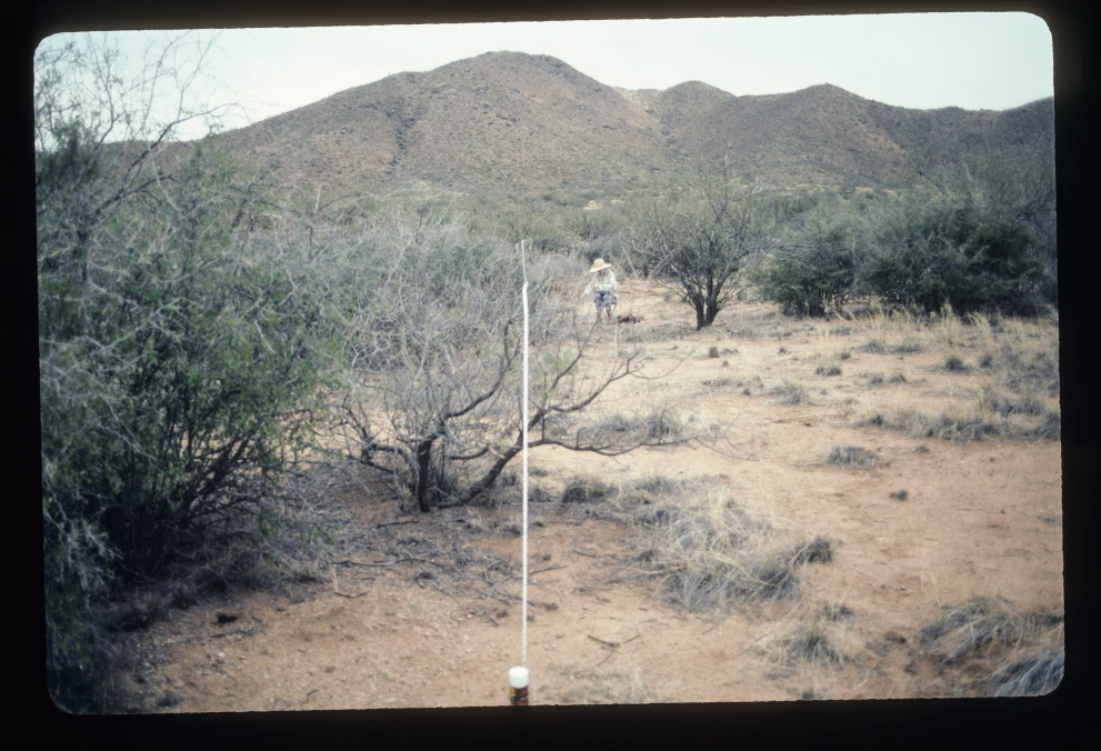 6A_38_from_100_2003_Mar_03.jpg